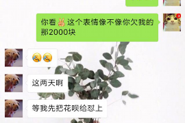 罗山要账公司更多成功案例详情